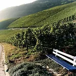 Appartement Weingut Breit *
