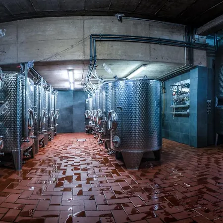 Daire Weingut Breit Piesport