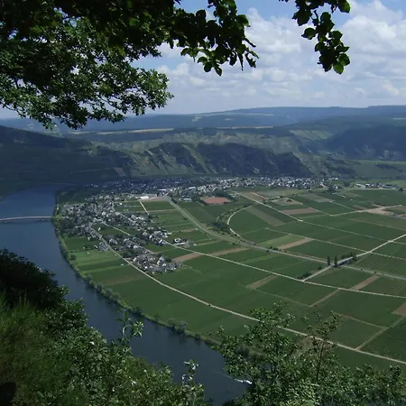 Weingut Breit Daire *