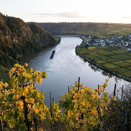 Weingut Breit Appartement Piesport