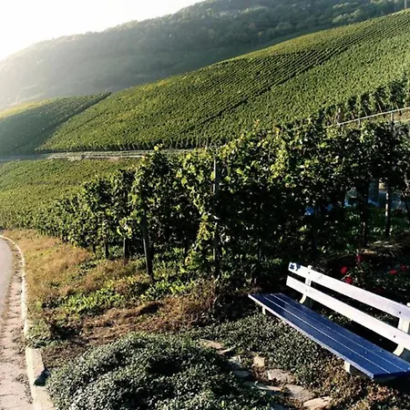 Appartement Weingut Breit *