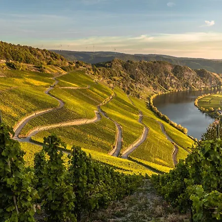 Weingut Breit *
