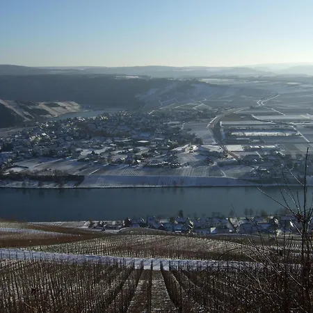 Appartement Weingut Breit Piesport