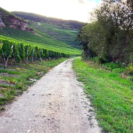 Weingut Breit Appartement Piesport