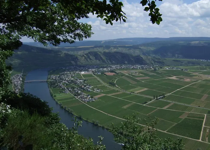 Weingut Breit Apartment *