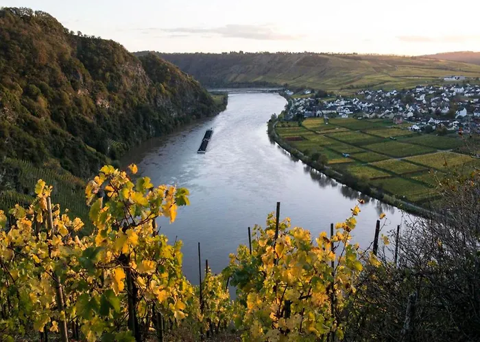 Weingut Breit Apartamento Piesport