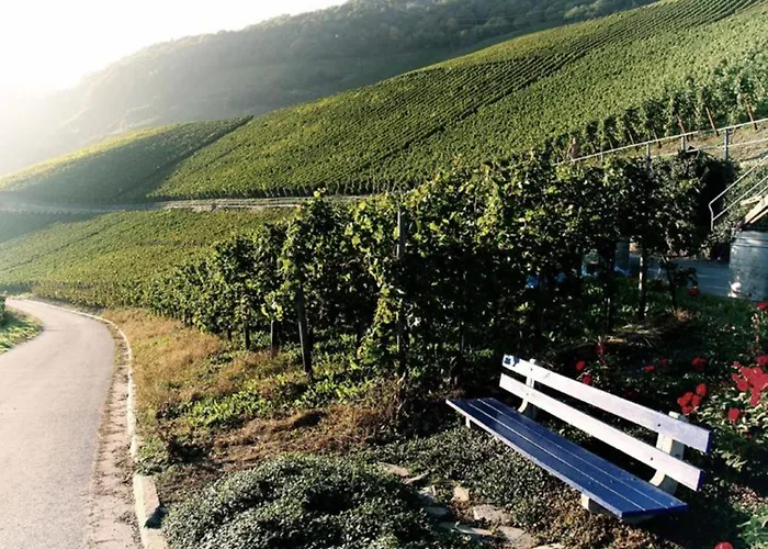 Apartamento Weingut Breit *