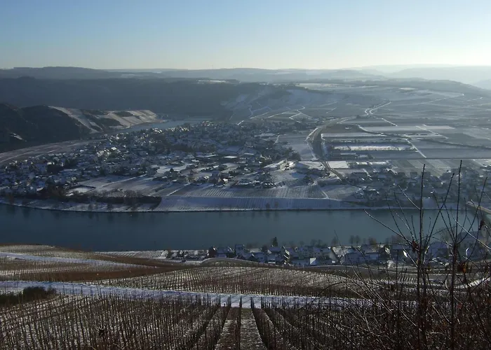 Apartment Weingut Breit Piesport