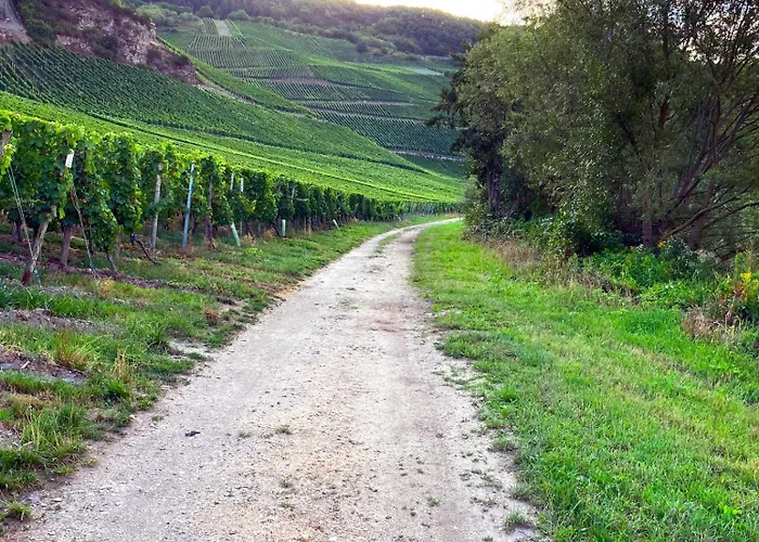 Weingut Breit Apartment Piesport